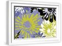 White Frame