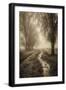 Black Frame