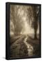 Essential Black