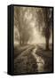Canvas Black