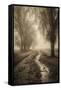 Canvas Black