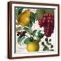 Brown Frame