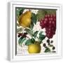White Frame