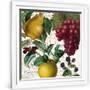 Gramercy White