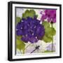Black Frame