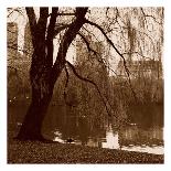 Central Park-Sasha Gleyzer-Art Print