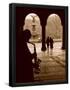 Essential Black