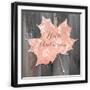 Black Frame