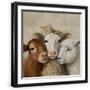 Black Frame