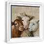 White Frame