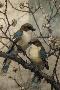 Just the Print