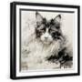 Black Frame