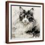 Brown Frame