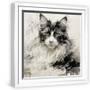 White Frame
