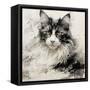 Canvas Black