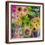 Brown Frame