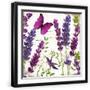 Black Frame