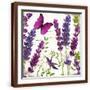 Brown Frame