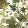 Laminate