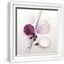 White Frame
