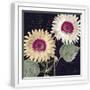 White Frame