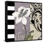 Canvas Black