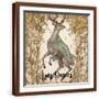 Brown Frame