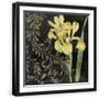 Black Frame