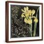 Brown Frame
