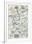 Gramercy White