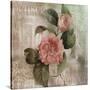 Stretched Canvas