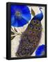Essential Black