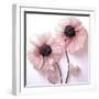 White Frame