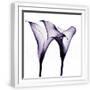 White Frame