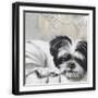 Black Frame