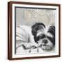 Brown Frame