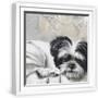 White Frame