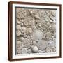 Brown Frame