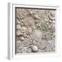 White Frame