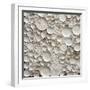White Frame