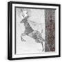 Black Frame