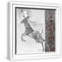 White Frame