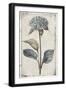 Black Frame