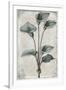 Gramercy White