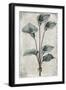 Black Frame