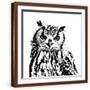 Brown Frame