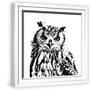 White Frame