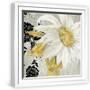 White Frame
