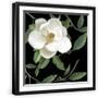 Black Frame