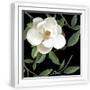 White Frame